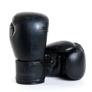 Urban Haymaker Boxing Gloves